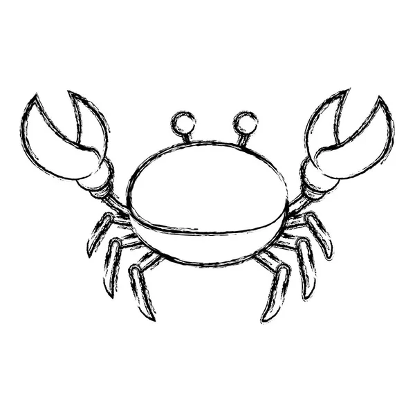 Grunge Schöne Krabbe Tropischen Meer Tier Vektor Illustration — Stockvektor