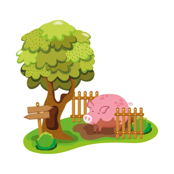 Animaux Ferme Porcine Dans Marais Avec Illustration Vectorielle Grillage Bois — Image vectorielle