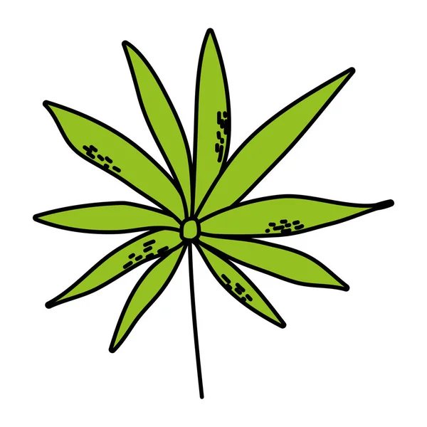 Χρώμα Υποκατάστημα Τροπικό Φυτό Φύλλα Στυλ Εικονογράφηση Διάνυσμα — Διανυσματικό Αρχείο