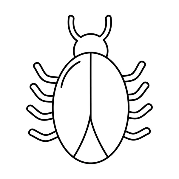 Linie Spider Darger Hmyzu Web Symbol Vektorové Ilustrace — Stockový vektor