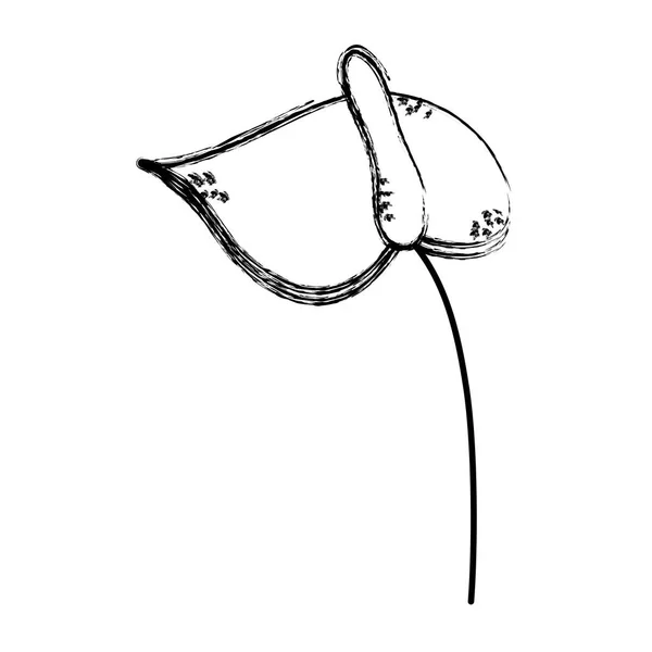 Grunge Agradable Flor Exótica Con Pétalos Estilo Vector Ilustración — Vector de stock