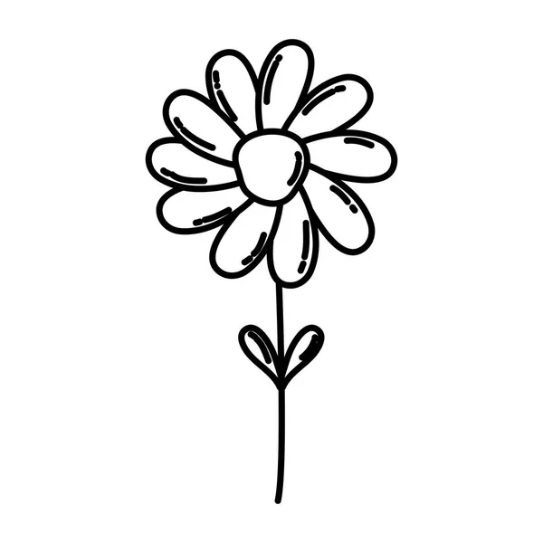 Linie Příroda Květ Rostliny Exotický Styl Vektorové Ilustrace — Stockový vektor
