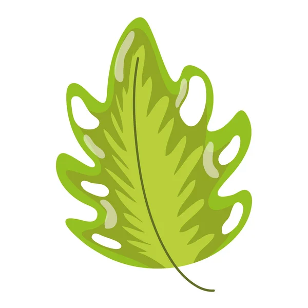 Natürliche Exotische Blatt Tropische Pflanze Vektor Illustration — Stockvektor