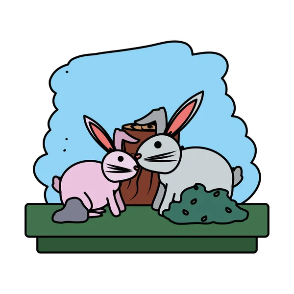 Couleur Couple Lapin Réserve Animale Sauvage Vecteur Illustration — Image vectorielle