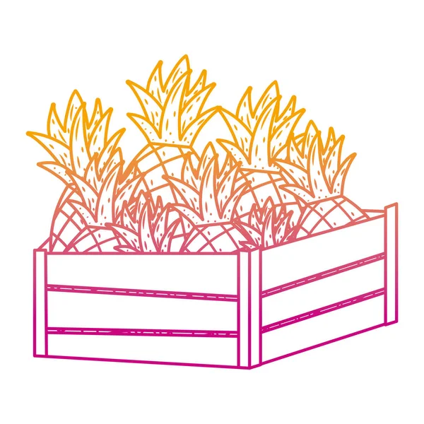 Ligne Dégradée Délicieux Ananas Fruits Intérieur Panier Bois Vecteur Illustration — Image vectorielle