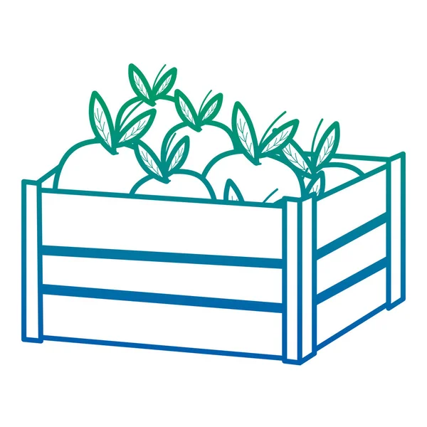 Abgebaut Linie Köstliche Auberginen Gemüse Holz Box Vektor Illustration — Stockvektor