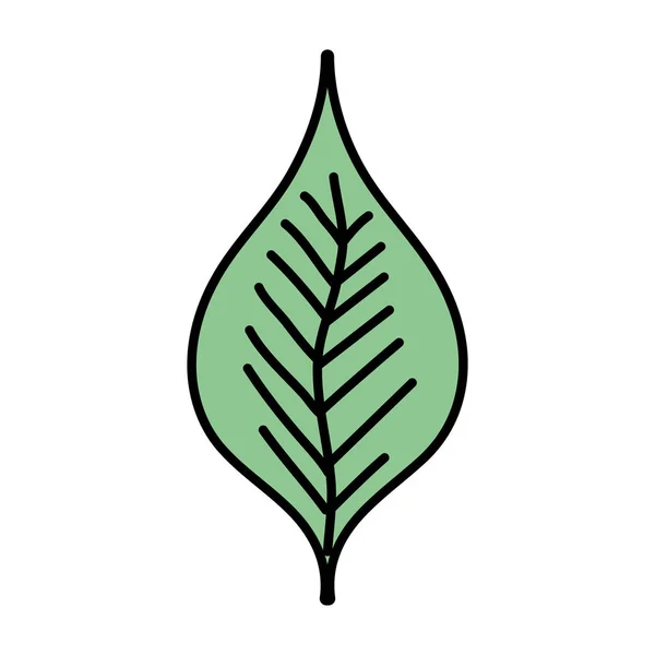 Χρώμα Χαριτωμένο Εξωτικά Φύλλα Φύση Σχεδιασμό Εικονογράφηση Φορέα — Διανυσματικό Αρχείο