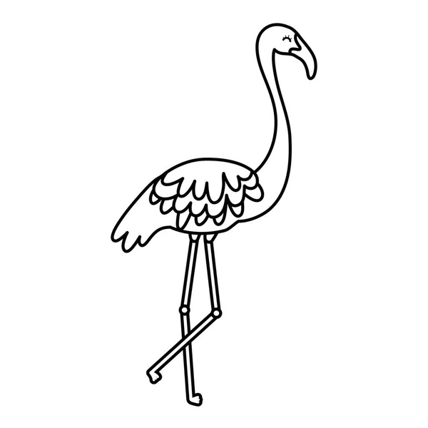 Line Exotic Flemish Bird Tropical Animal Vector Illustration — Stock Vector