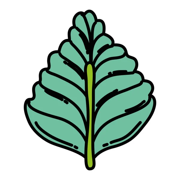 Illustration Vectorielle Style Botanique Tropital Feuille Naturelle Couleur — Image vectorielle