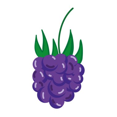lezzetli üzüm meyve beslenme vektör çizim