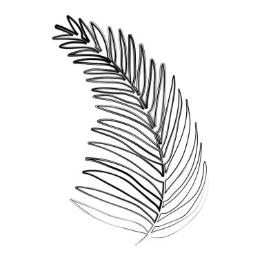 Grunge tropikal palmiye dalı yaprakları bitki vektör çizim