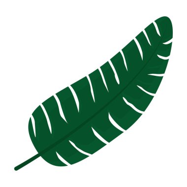 stil vektör çizim tesisi tropikal şube bırakır