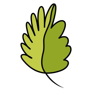 renk doğa tropikal yaprak botanik bitki vektör çizim