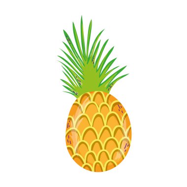 egzotik ananas tropikal taze meyve vektör çizim