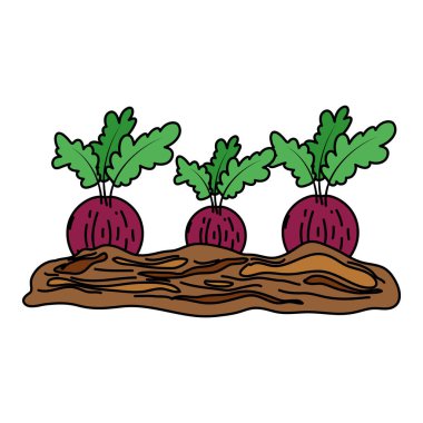 renk sağlıklı soğan taze sebze ekili vektör çizim