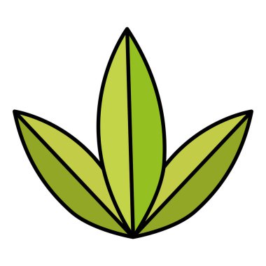 rengi egzotik tarzı botanik flora vektör çizim değiştirmez