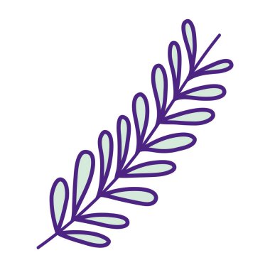 vektör çizim doğal şube tesisi tropikal yaprak