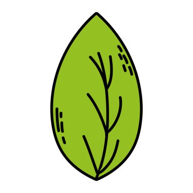 renk botanik güzel yaprak egzotik tarzı vektör çizim