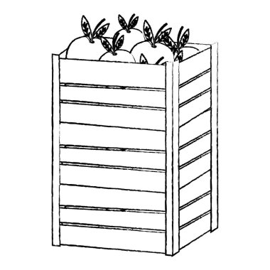 Grunge patlıcan sebze büyük tahta kutu vektör çizim içinde