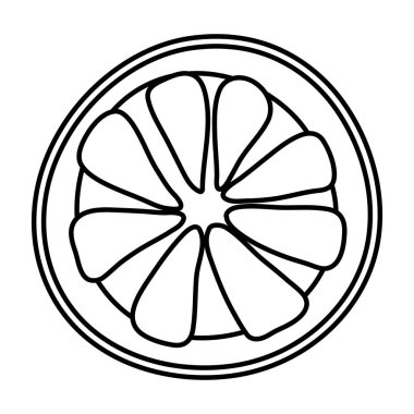 satır egzotik dilim limon tropikal meyve vektör çizim