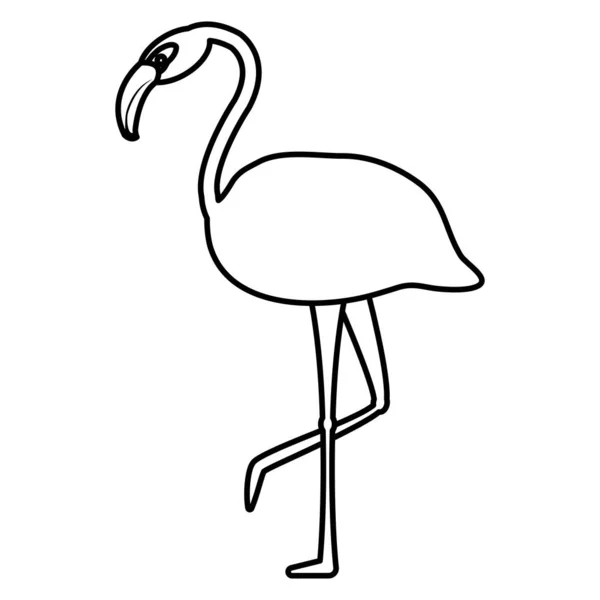 Linea Tropicale Fiammingo Bellezza Uccello Animale Vettore Illustrazione — Vettoriale Stock