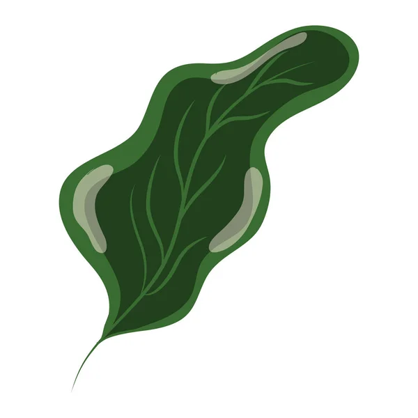 Hoja Botánica Estilo Planta Exótica Vector Ilustración — Vector de stock