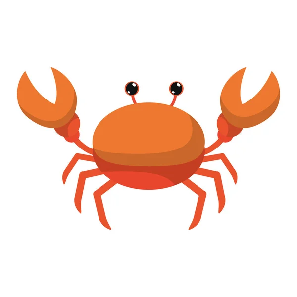 Mooie Krab Tropische Zee Dier Vectorillustratie — Stockvector