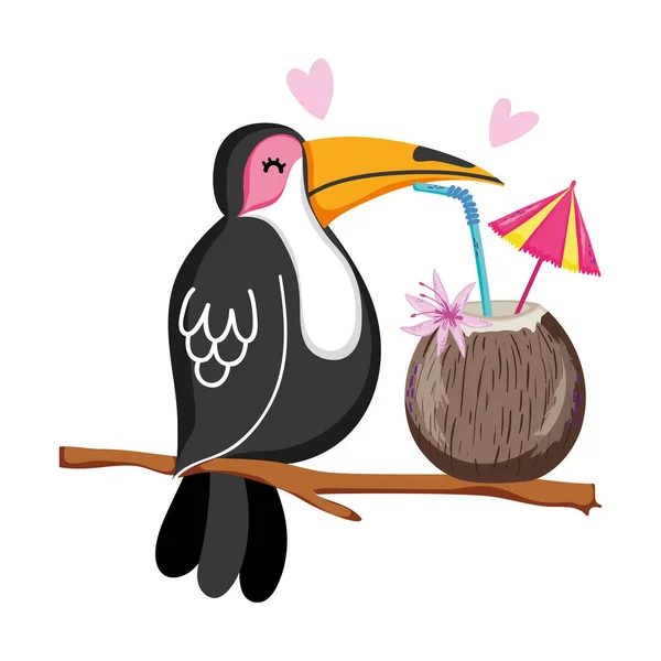 exotic bird with tropical coconut beverage vector illustration