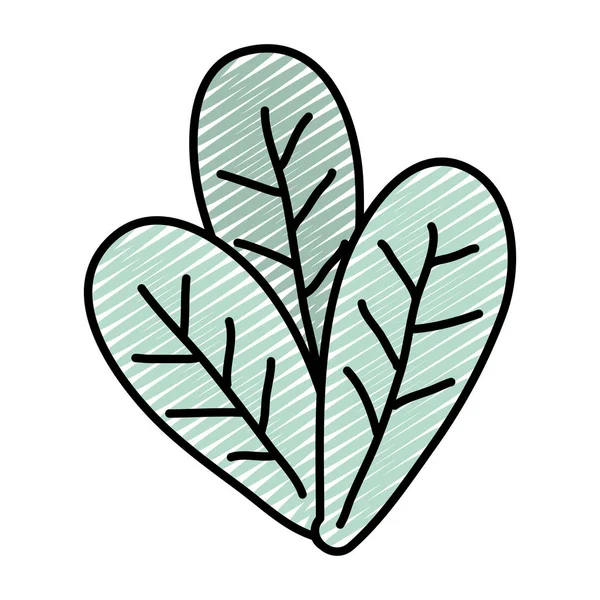 Doodle Planta Natural Com Folhas Tropicais Estilo Vetor Ilustração —  Vetores de Stock