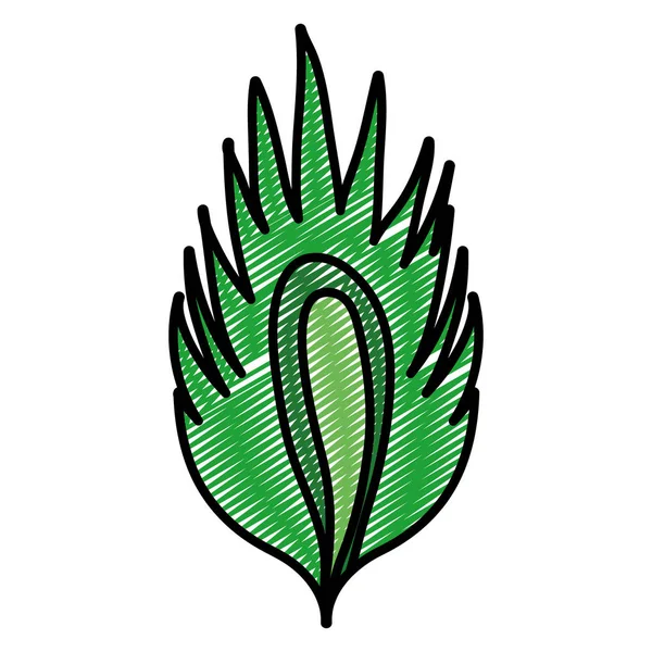 Doodle Εικονογράφηση Φορέα Βοτανικό Φυσικών Φυτικών Τροπικά Φύλλα — Διανυσματικό Αρχείο