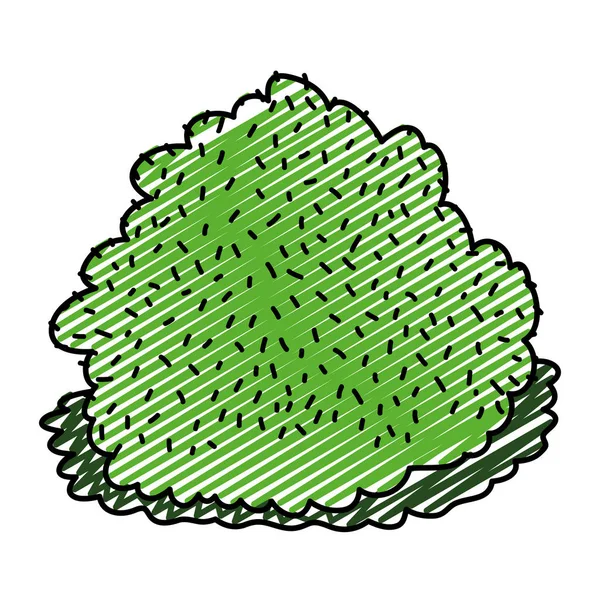 Doodle Nature Buisson Plante Avec Des Feuilles Exotiques Vecteur Illustration — Image vectorielle