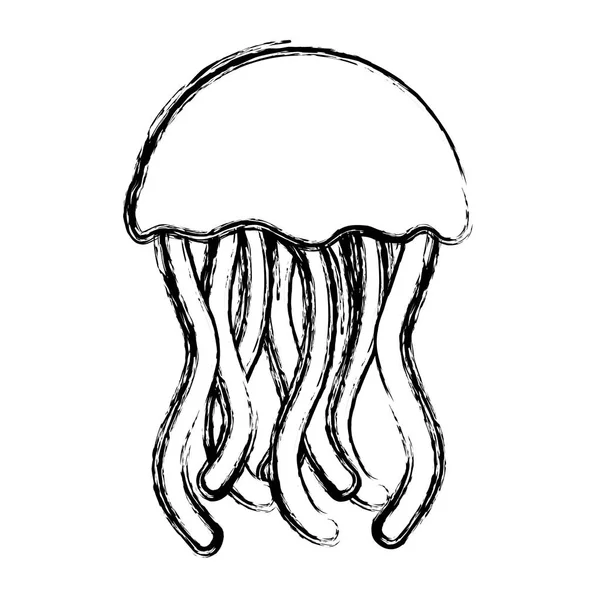 Grunge Exotické Medúzy Mořského Živočicha Chapadly Vektorové Ilustrace — Stockový vektor