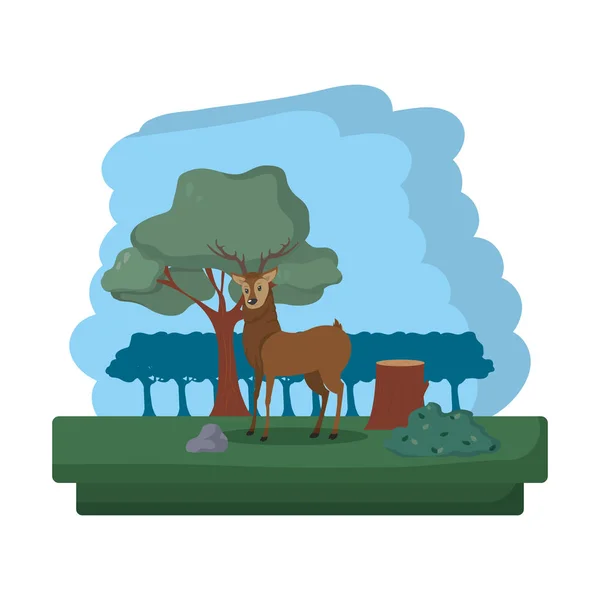 Ciervo Macho Animal Salvaje Reserva Vector Ilustración — Vector de stock