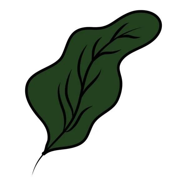 Barva Botanic Leaf Styl Exotických Rostlin Vektorové Ilustrace — Stockový vektor