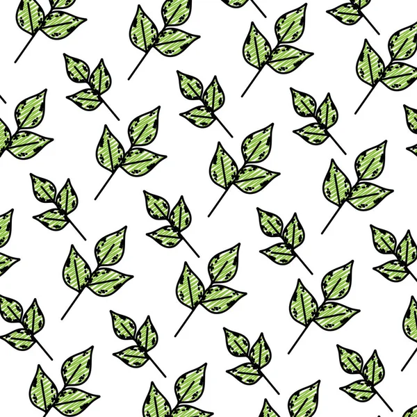 Doodle Plante Exotique Nature Feuilles Fond Vectoriel Illustration — Image vectorielle