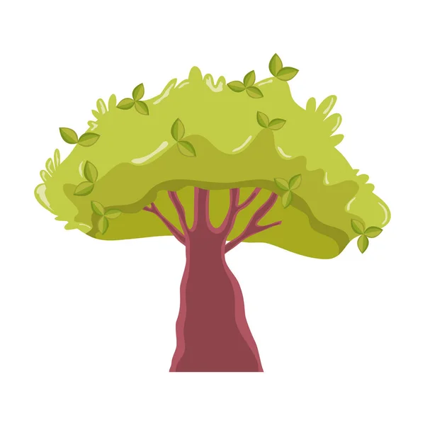 Natuurlijke Tropische Boom Stengel Botanic Vectorillustratie — Stockvector