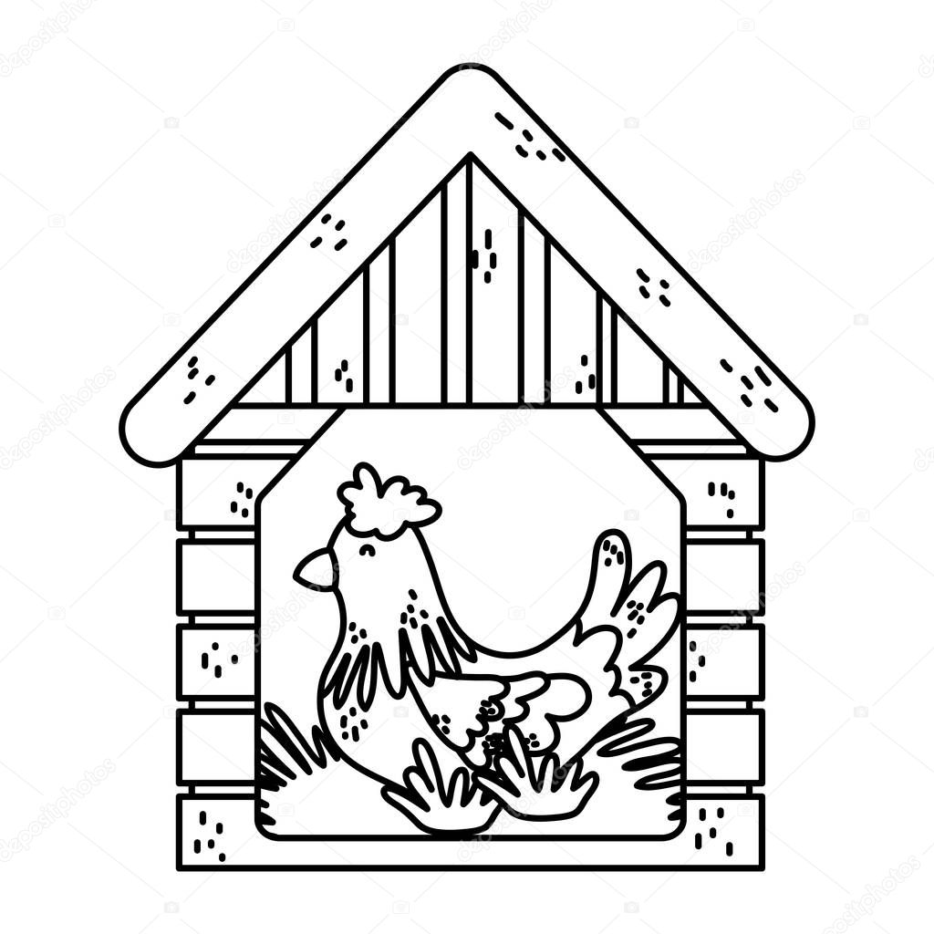 line hen inside house laying farm eggs vector illustration