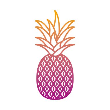 bozulmuş satır lezzetli ananas organik meyve beslenme vektör çizim