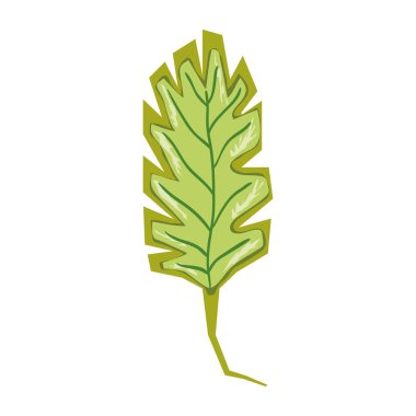 Doğa bahar yaprak egzotik tasarım vektör çizim