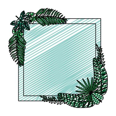 Doodle kare dalları bitki egzotik yaprakları vektör çizim ile