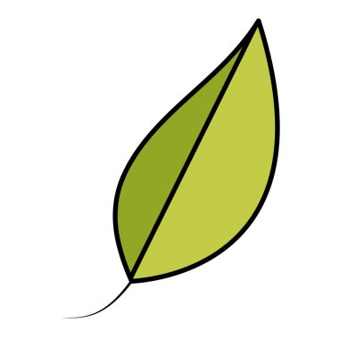 renk doğal egzotik yaprak botanik bitki vektör çizim
