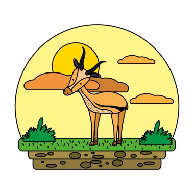 renk sevimli erkek geyik vahşi hayvan manzara vektör çizim