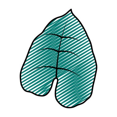 şirin doğa yaprak egzotik tarzı vektör çizim doodle