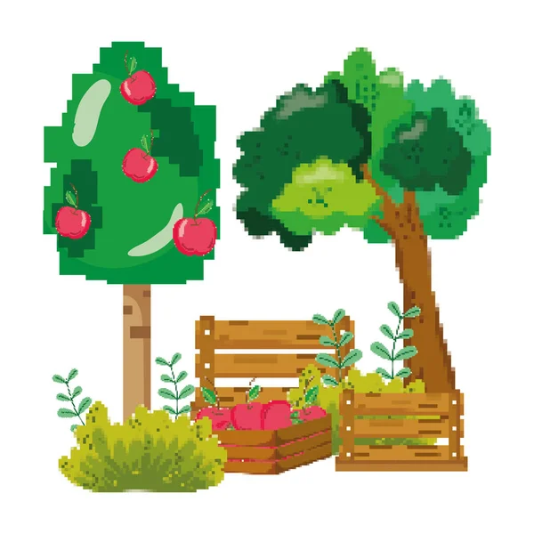 Ilustracja Wektorowa Uprawy Pixelated Apple Tree Farm — Wektor stockowy