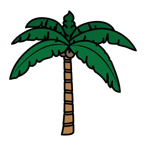 Wektor Ilustracja Kolor Tropikalne Palm Tree Liści Kokosy — Wektor stockowy