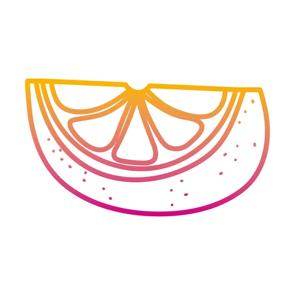 Ligne Dégradée Délicieuse Tranche Orange Fruits Biologiques Vecteur Illustration — Image vectorielle