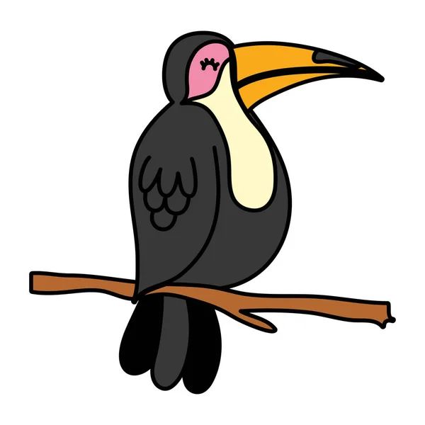 Cor Pássaro Exótico Com Penas Beleza Ilustração Vetorial Ramo —  Vetores de Stock