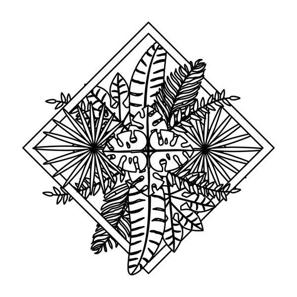 Linie Exotische Zweige Pflanzen Blätter Dekoration Vektor Illustration — Stockvektor