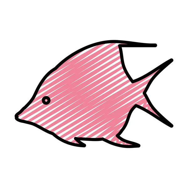 Doodle Tropical Angel Fish Natureza Animal Vetor Ilustração — Vetor de Stock