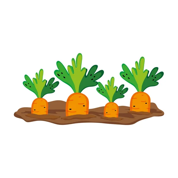 Natuur Wortelen Gecultiveerde Plantage Product Vectorillustratie — Stockvector